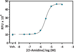 PAD4 Inhibitor Screening Assay Kit (AMC)