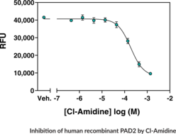 PAD2 Inhibitor Screening Assay Kit (Ammonia)