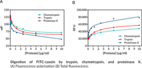 Protease Activity Assay Kit