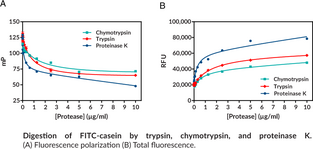 Protease Activity Assay Kit