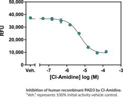 PAD3 Inhibitor Screening Assay Kit (Ammonia)