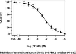 Sphingosine Kinase 1 Inhibitor Screening Assay Kit