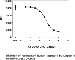 Caspase-4 Inhibitor Screening Assay Kit