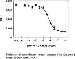 Caspase-1 Inhibitor Screening Assay Kit