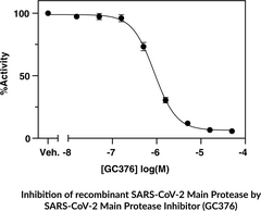 SARS-CoV-2 Main Protease Inhibitor Screening Assay Kit