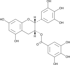 (–)-Epigallocatechin Gallate