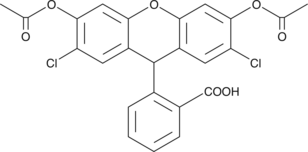 2,7-<wbr/>Dichlorodihydrofluorescein diacetate