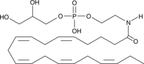 Glycero<wbr/>phospho-<wbr/>N-Eicosa<wbr/>pentaenoyl Ethanolamine