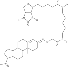 Progesterone 3-<wbr/>biotin