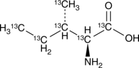 L-Isoleucine-<wbr/><sup>13</sup>C<sub>6</sub>