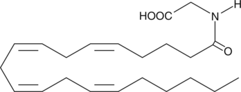 Arachidonoyl Glycine