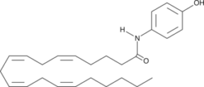 AM404