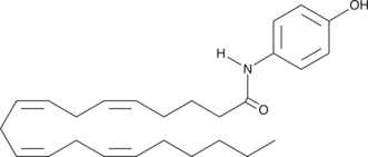 AM404