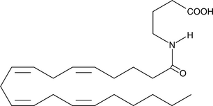 N-<wbr/>Arachidonoyl-<wbr/>?-<wbr/>Aminobutyric Acid